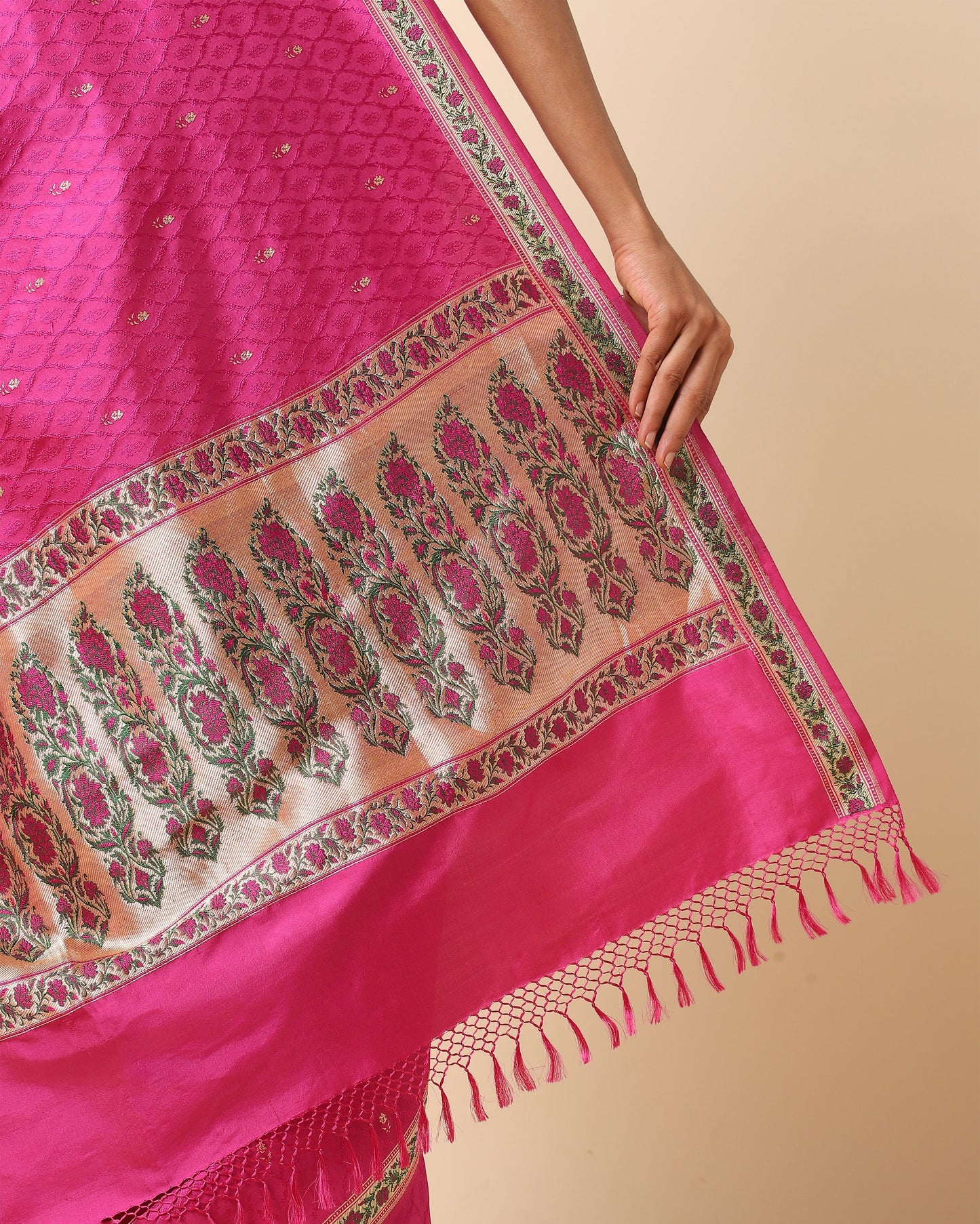 Darsh Tanchoi and Kadwa Silk Saree