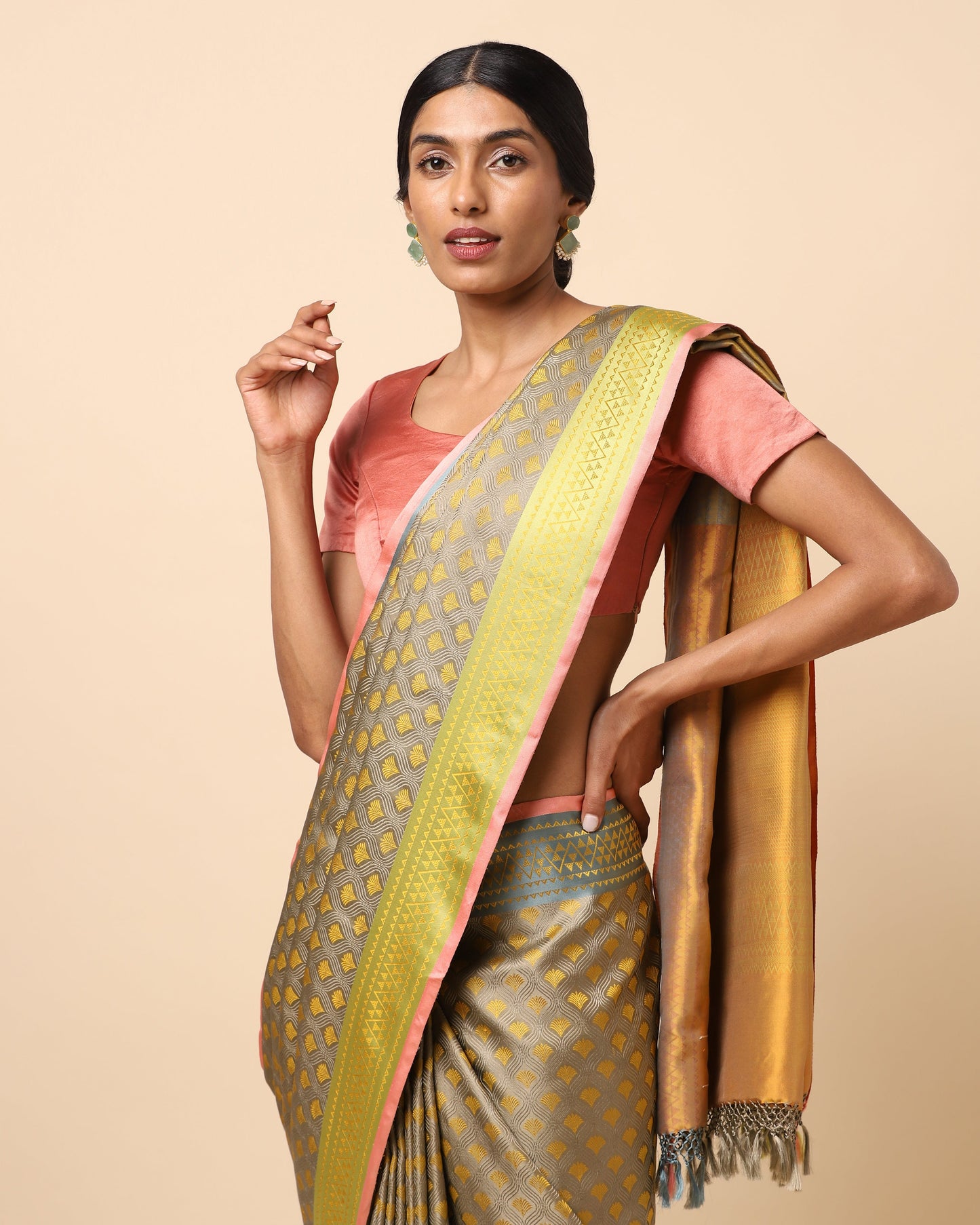 Vaibhavi Tanchoi Silk Saree