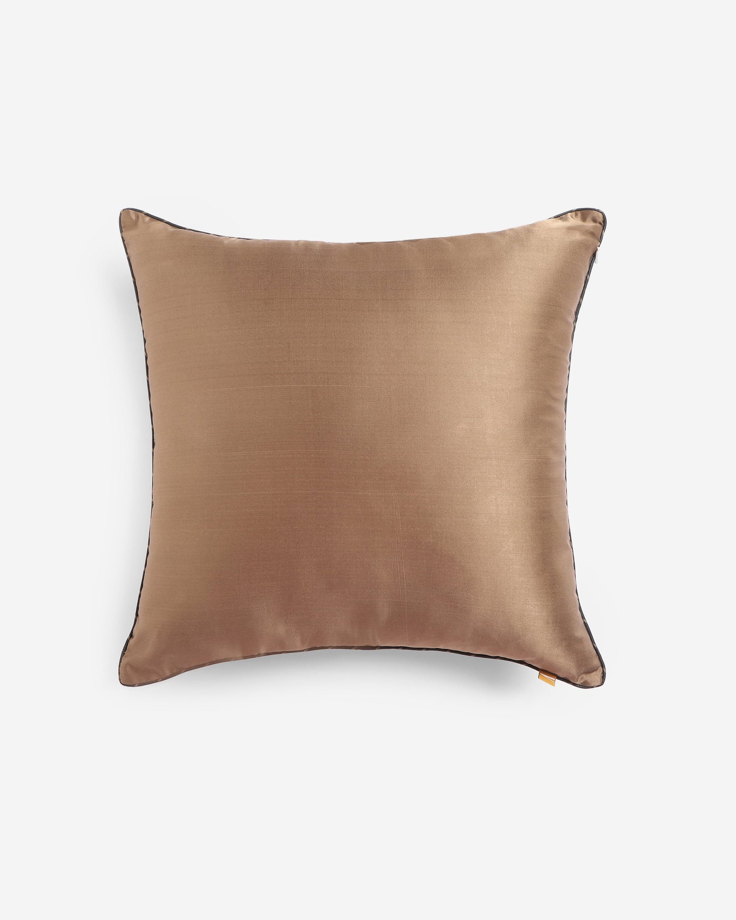 Banou Tanchoi Silk Cushion Cover
