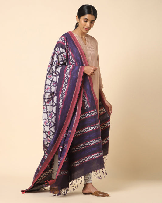 Vaishnavi Weft Ikat Cotton Silk Dupatta