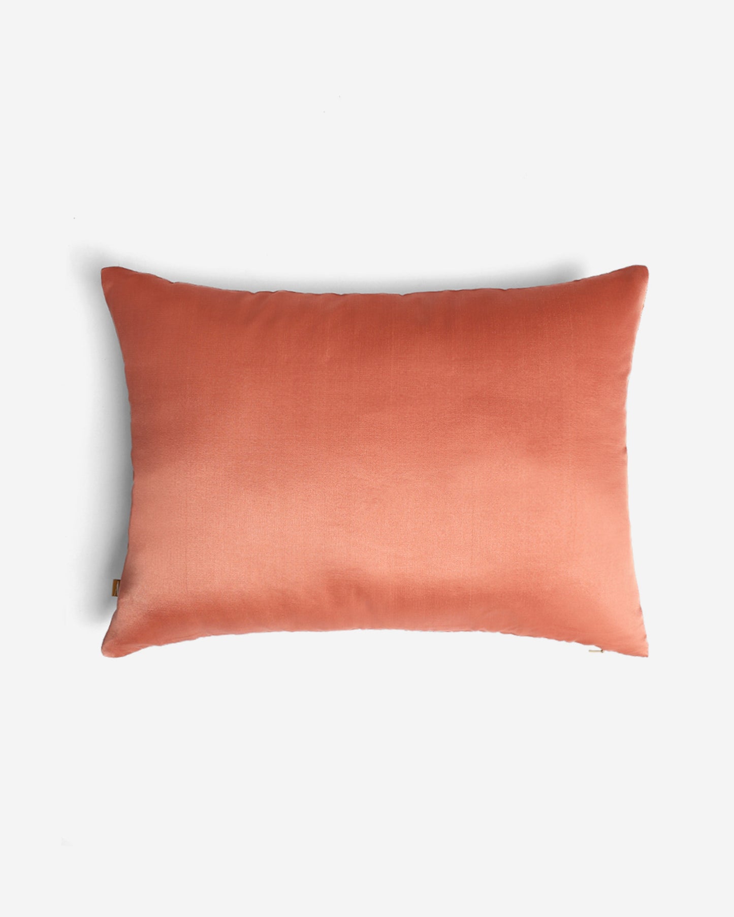Deccan Tanchoi Silk Cushion Cover
