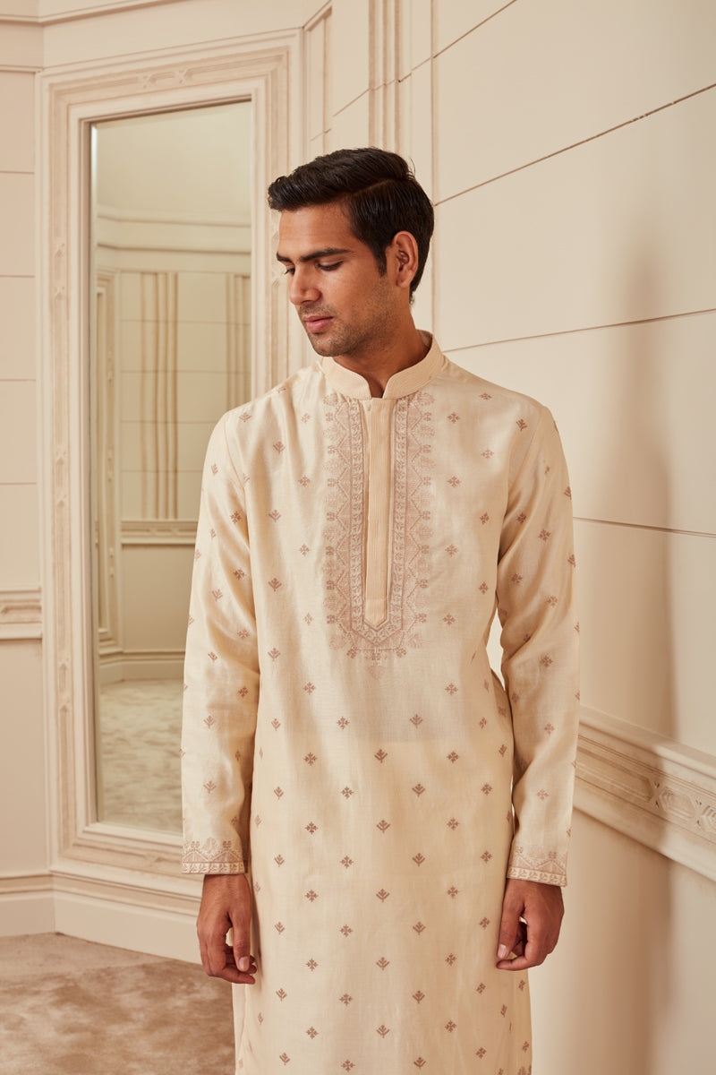 Placement Embroidery Kurta Set