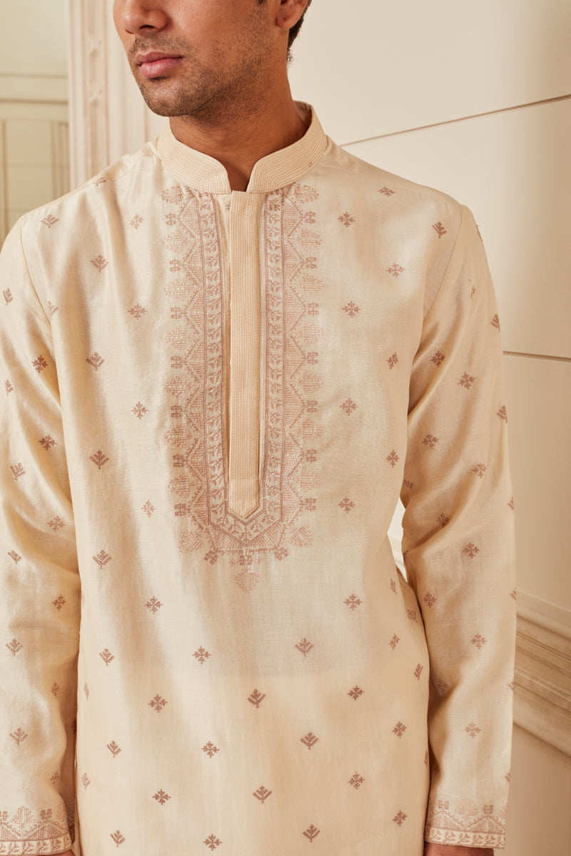 Placement Embroidery Kurta Set