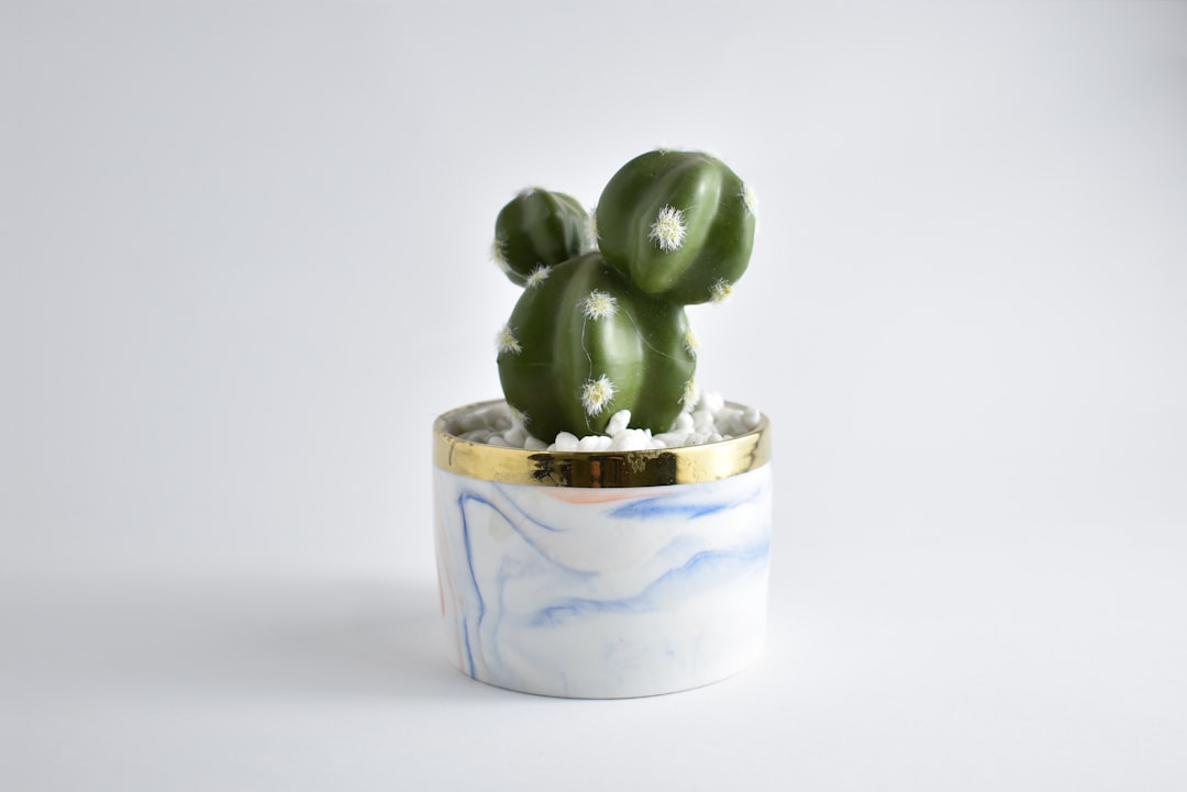 Unwitting Accomplice