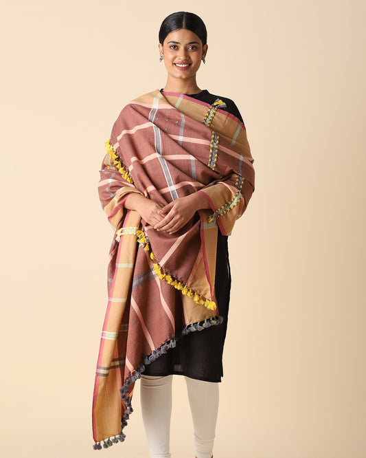 Alaya Extra Weft Woolen Shawl