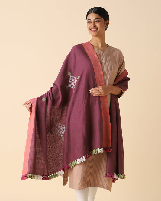 Zehab Extra Weft Woolen Shawl