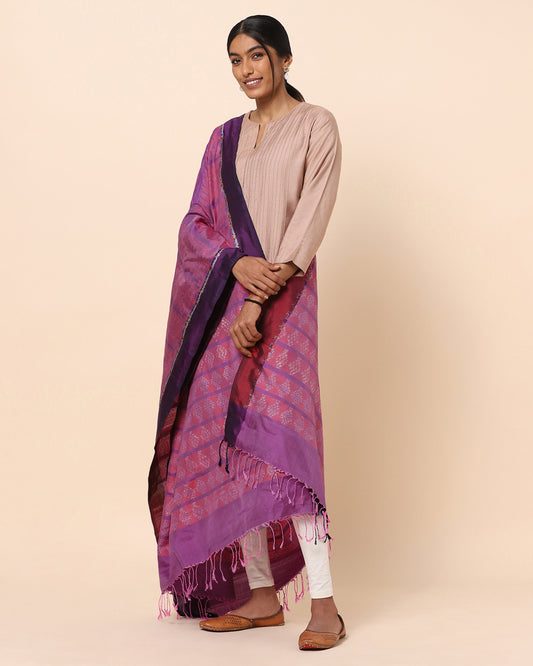 Vriksh Weft Ikat Silk Dupatta