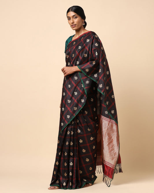 Megan Kadwa Silk Saree