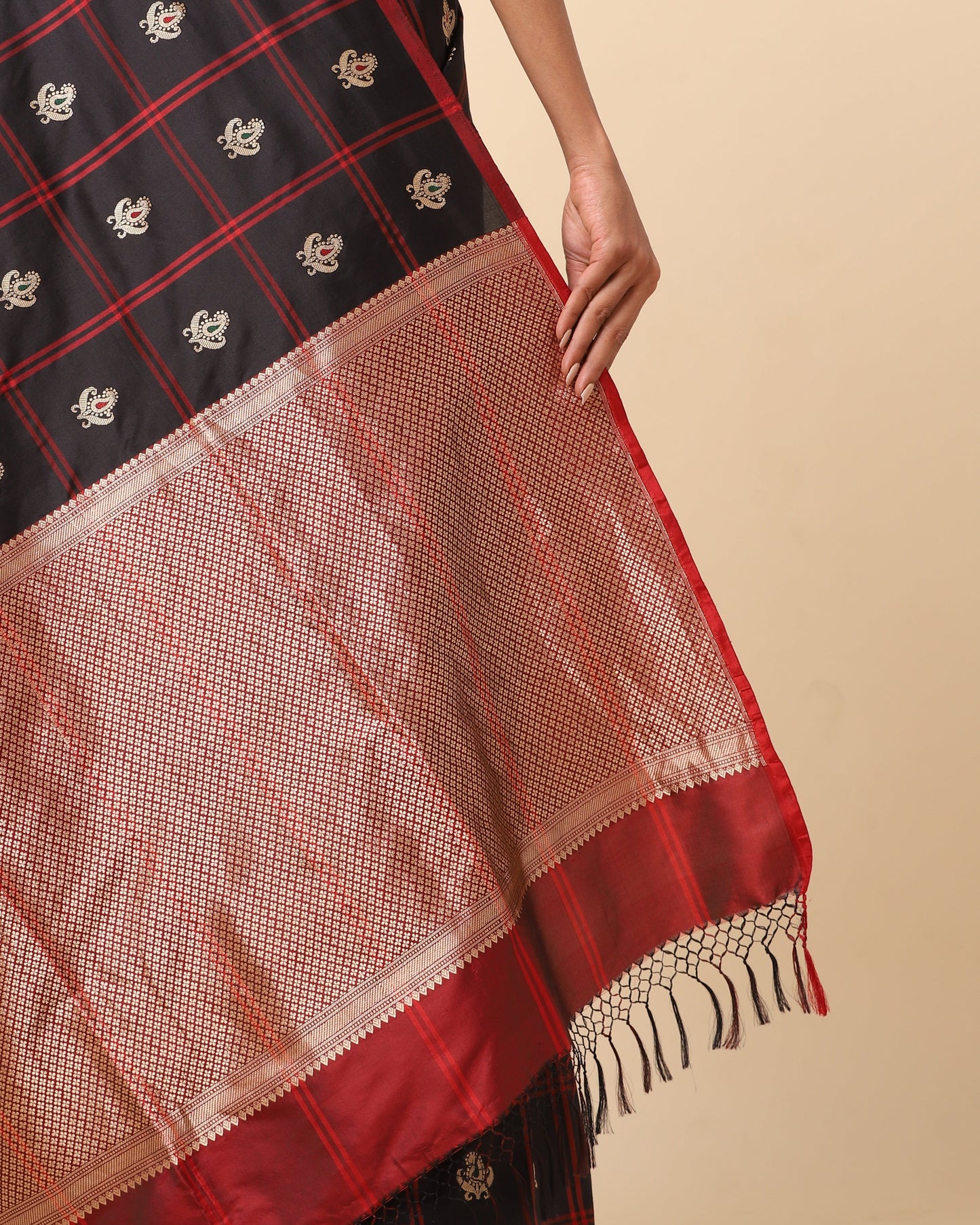 Megan Kadwa Silk Saree