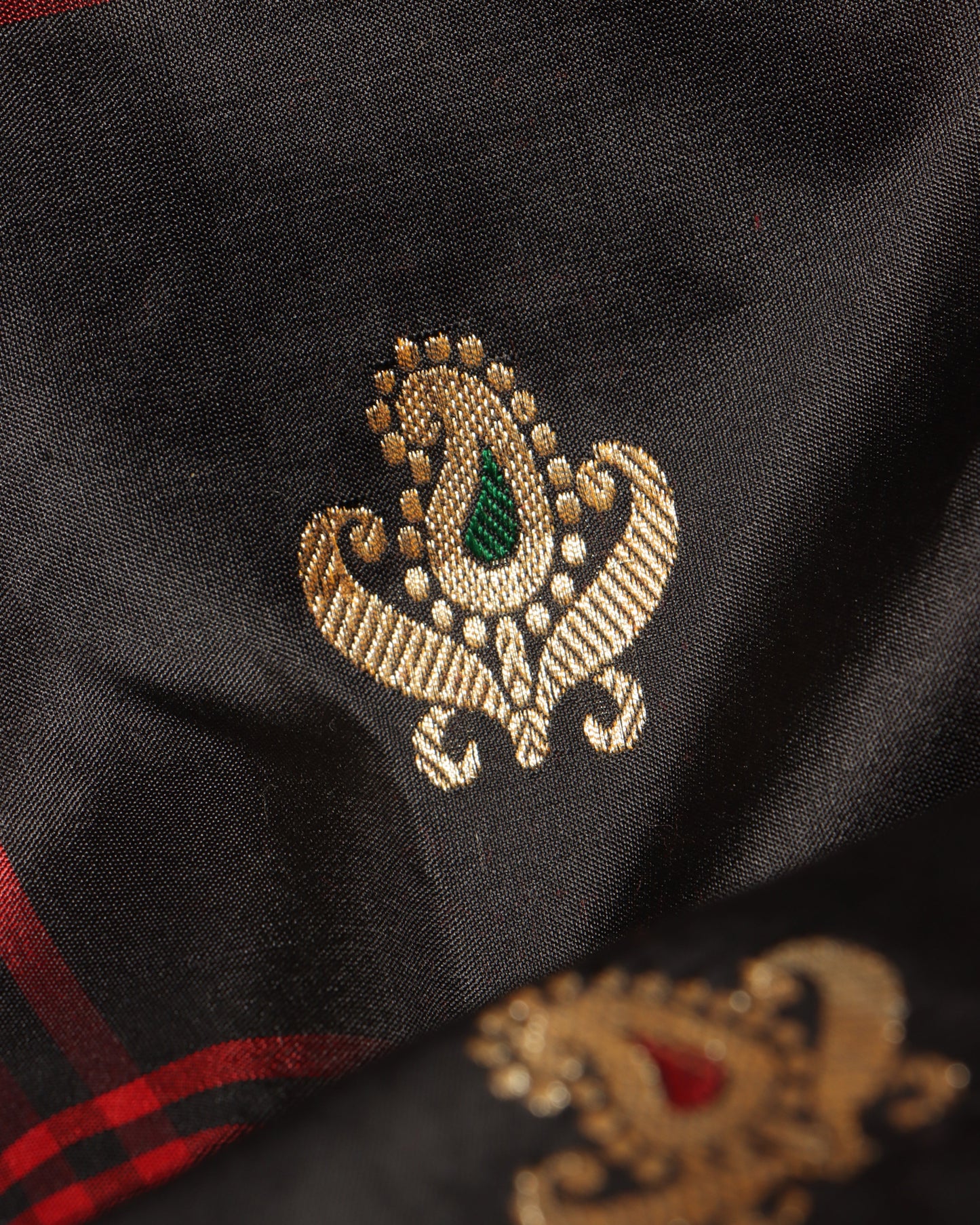 Megan Kadwa Silk Saree
