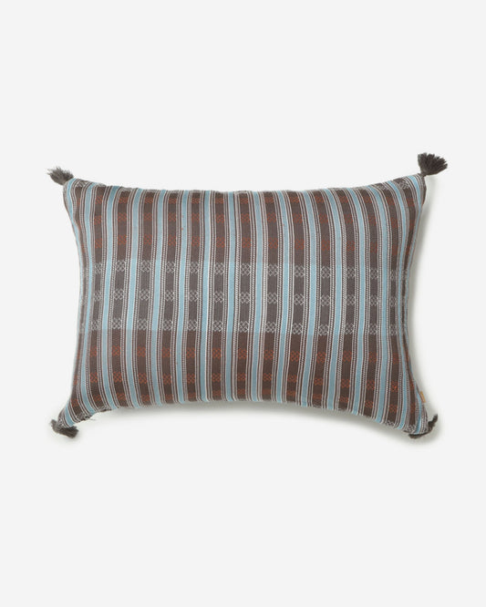 Ashta Mashru Viscose Cushion Cover