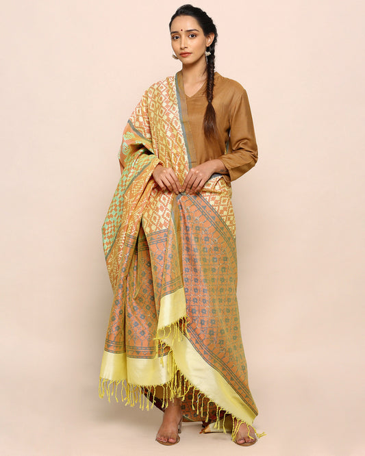 Nala Weft Ikat Cotton Silk Dupatta