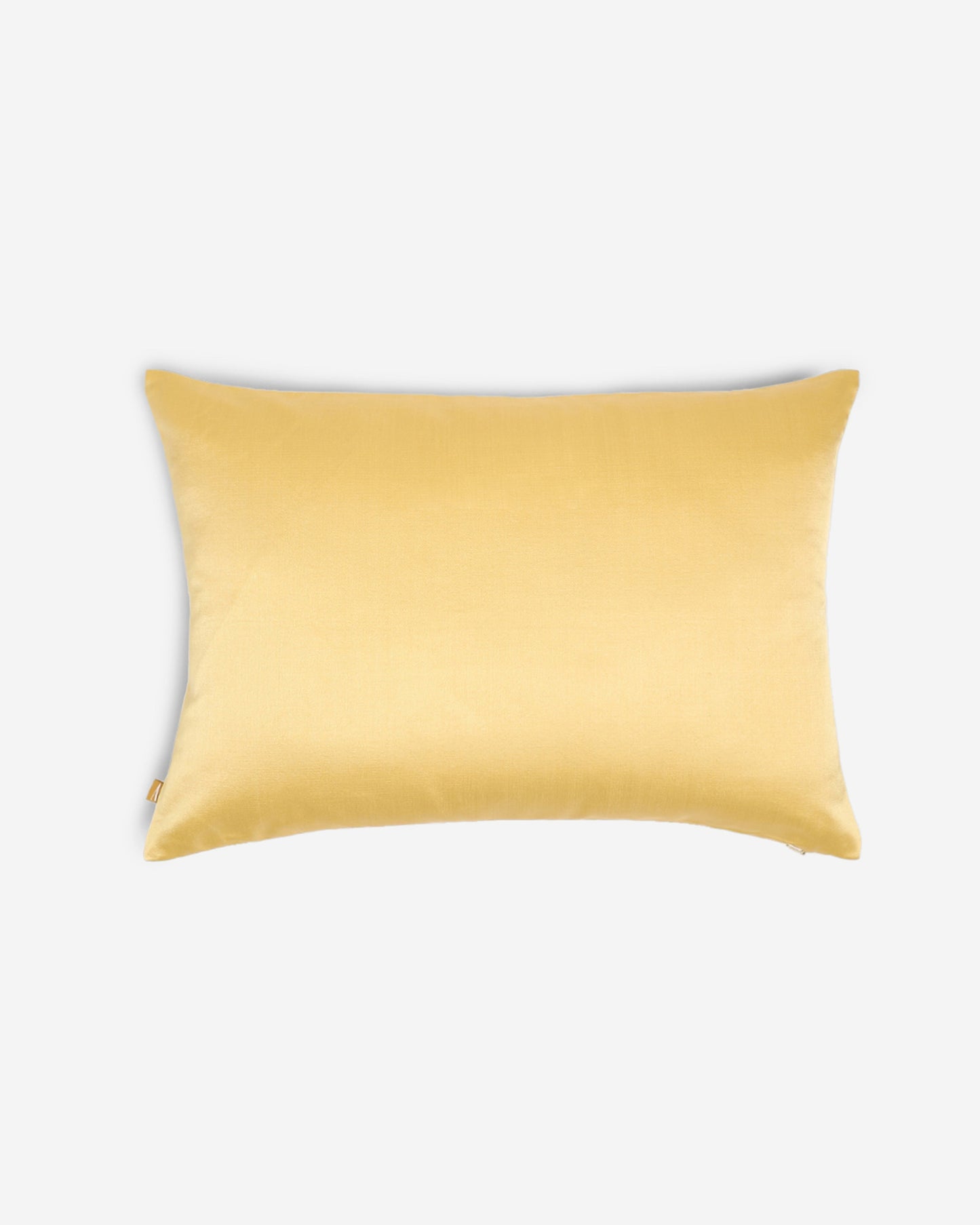 Deccan Tanchoi Silk Cushion Cover
