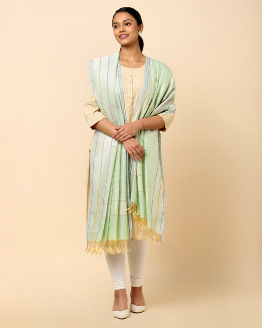 Asavari Fekwa Silk Cotton Dupatta