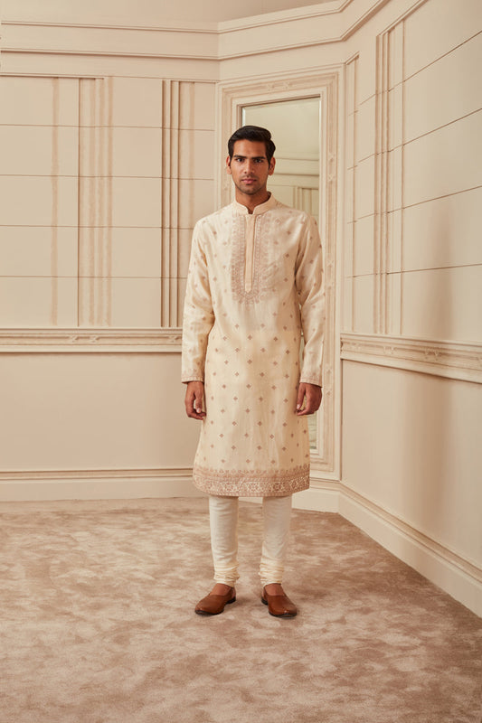 Placement Embroidery Kurta Set