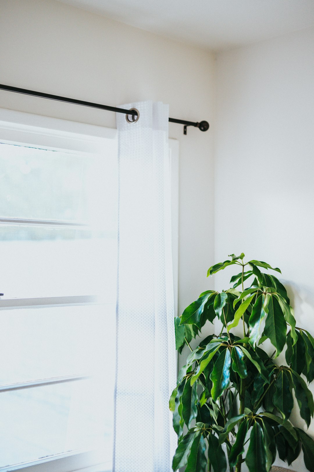 Unfortunate Conflict Of Evidence